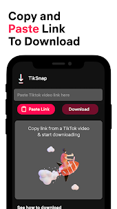 TikSnap: TT Video Downloader