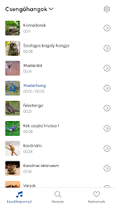 Madárhangok – Alkalmazások a Google Playen