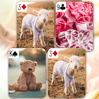 Cute Photos Card Matching Game