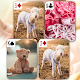 Cute Photos Card Matching Game Unduh di Windows