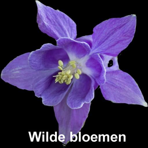 Wilde bloemen  Icon