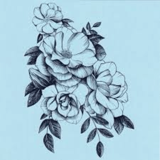 jasmine flowe meaning drawing