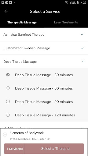Elements of Bodywork - Massage Screen 2