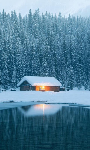 Winter Live Wallpaper  backgrounds hd