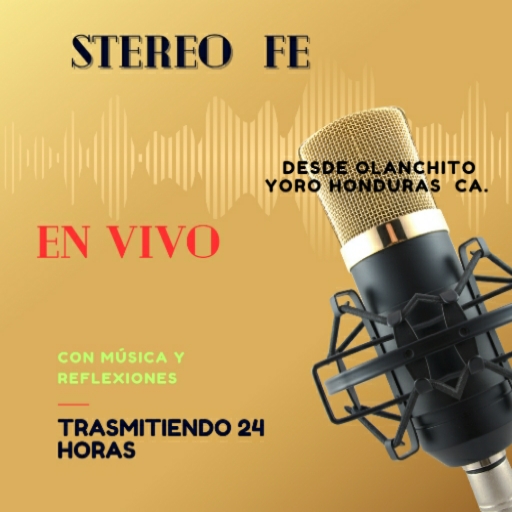 STEREO FE logo