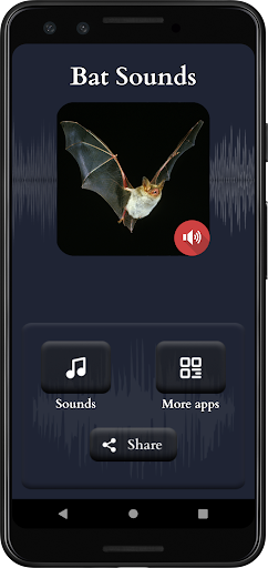 Bat Sounds Screen 2