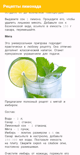 Рецепты лимонада Screen 2