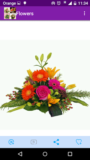 1000 flower arrangements Screen 3