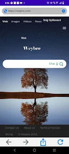 Weybre Web Browser