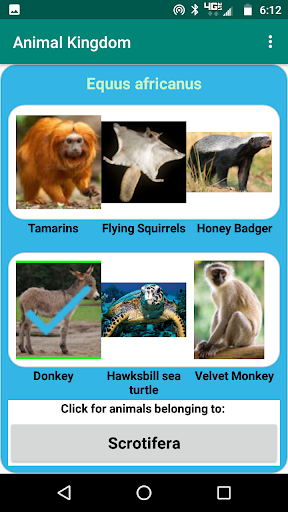 Animal Kingdom Screen 3