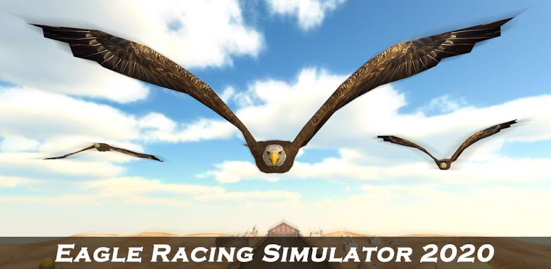 Bird Racing Simulator: Eagle Race Game