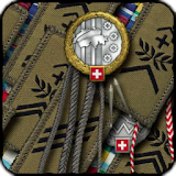 Schweizer Armee Dienstgrade icon