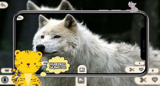 Animal Wallpapers HD 4K