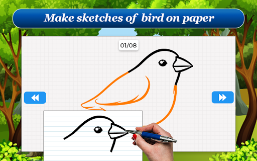 How to Draw Birds Step by Step Screen 3