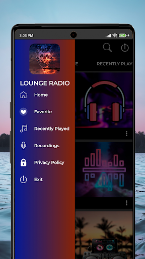 Radio Playback Music Live FM Screen 3
