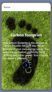 Carbon footprint by Đỗ Ngọc Tú
