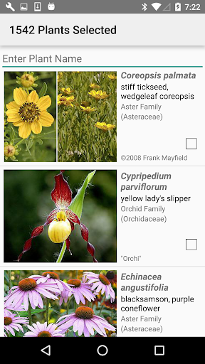 Kansas Wildflowers Screen 3