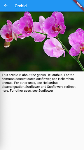 simple beautiful orchids Screen 3