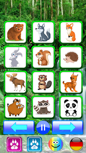 Animal sounds. Learn animals names for kids 5