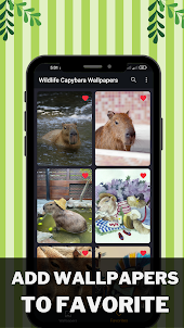 Capybara Wildlife Wallpapers