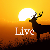 Live Nature Videos icon
