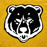 Canton Bears Hockey icon