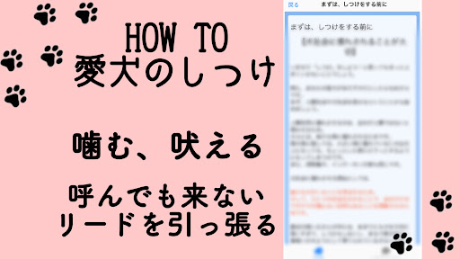 HOW TO 愛犬のしつけ Screen 3