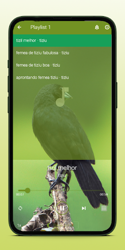 Canto de Tiziu Fêmea