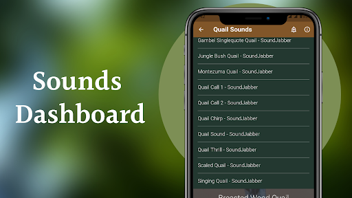 Quail Sounds & Calls Screen 3