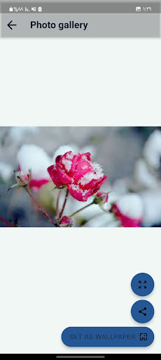 Android application خلفيات ثلج وورد screenshort