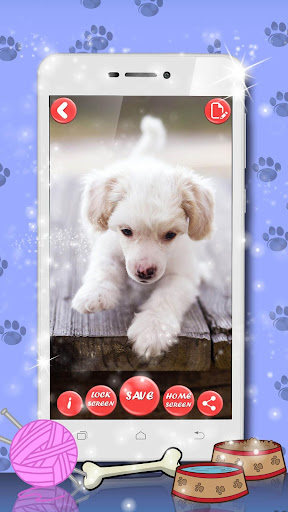 Cute Cat & Dog Live Wallpapers Screen 3