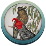 Field Guide to ACT Fauna Apk
