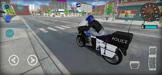 American Police Bikes Driving