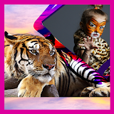Tiger Frames For Photos icon