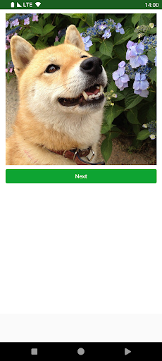 Android application Dogs Images screenshort
