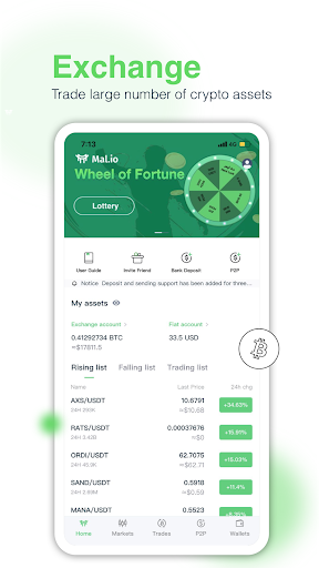 Vista previa de la aplicación