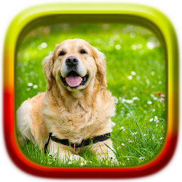 Slika ikone Životinje puzzle: Psi
