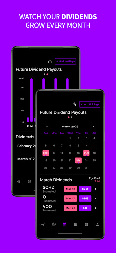 Purple Brick Dividend Tracker Screen 2