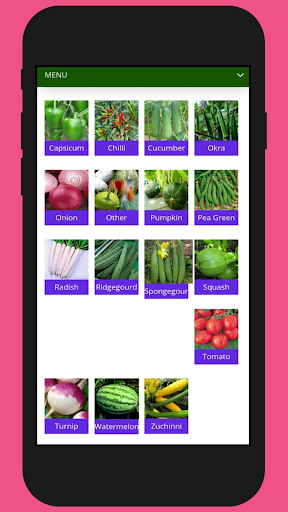 SuttindSeeds Screen 2