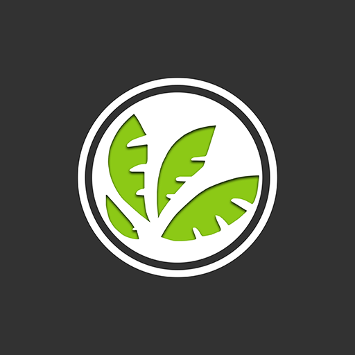 Oasis Baptist Church App logo
