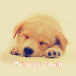 Cover Image of Download Puppy Nap Theme +HOME  APK