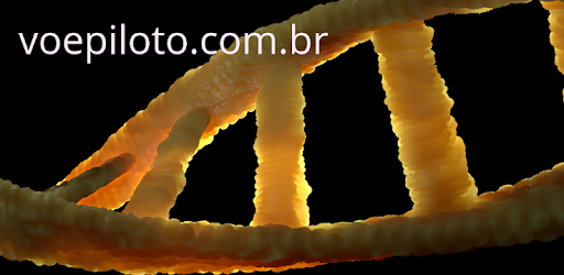 Biólogo Simulados Concurso