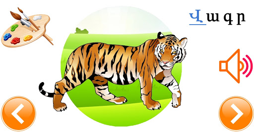 Learn Armenian domestic and w