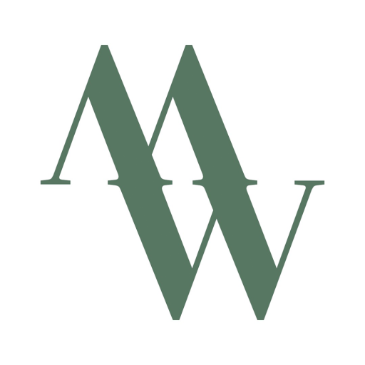 MoneyWise Solutions, Inc. logo