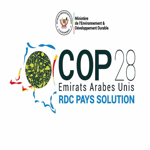 RDC Pays Solution logo