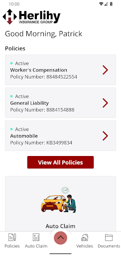 Herlihy Insurance Client Screen 2