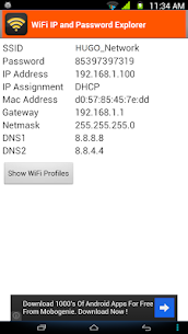 WiFi Password, IP, DNS 1