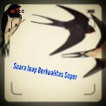 Cover Image of ダウンロード Suara Inap Walet Berkualitas -  APK