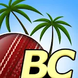 Beach Cricket Pro icon