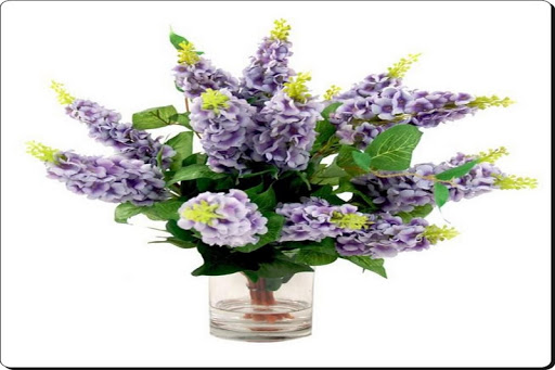 Beautiful Flower Arrangement